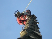 1.JPG