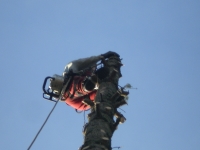2.JPG