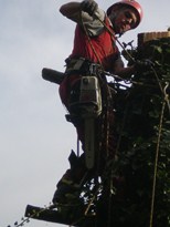 11.JPG