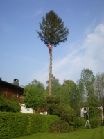 10.JPG