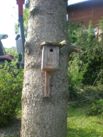 15.JPG